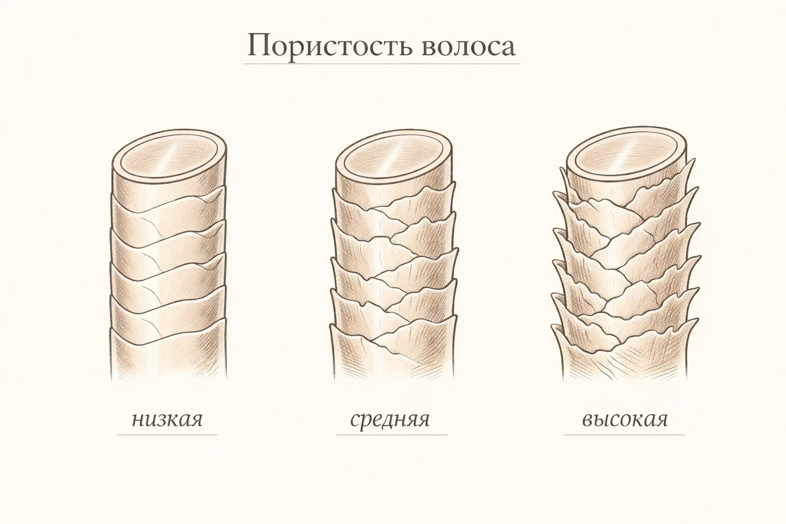 Низкая, средняя и высокая пористость